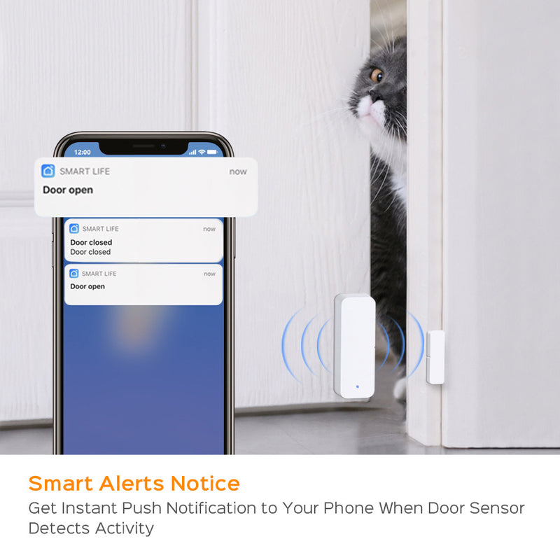 Intelligent Door And Window Alarm